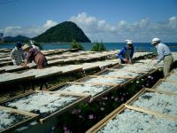 山口県 北浦の浜の風景